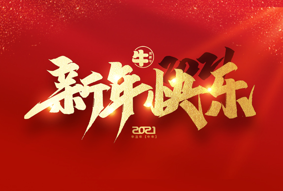 麗水市威儀自動(dòng)化技術(shù)有限公司祝全國人民2021年新年快樂！